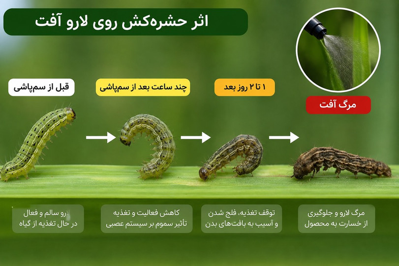 انواع سموم حشرهکش چگونه آفات را از بین میبرند؟