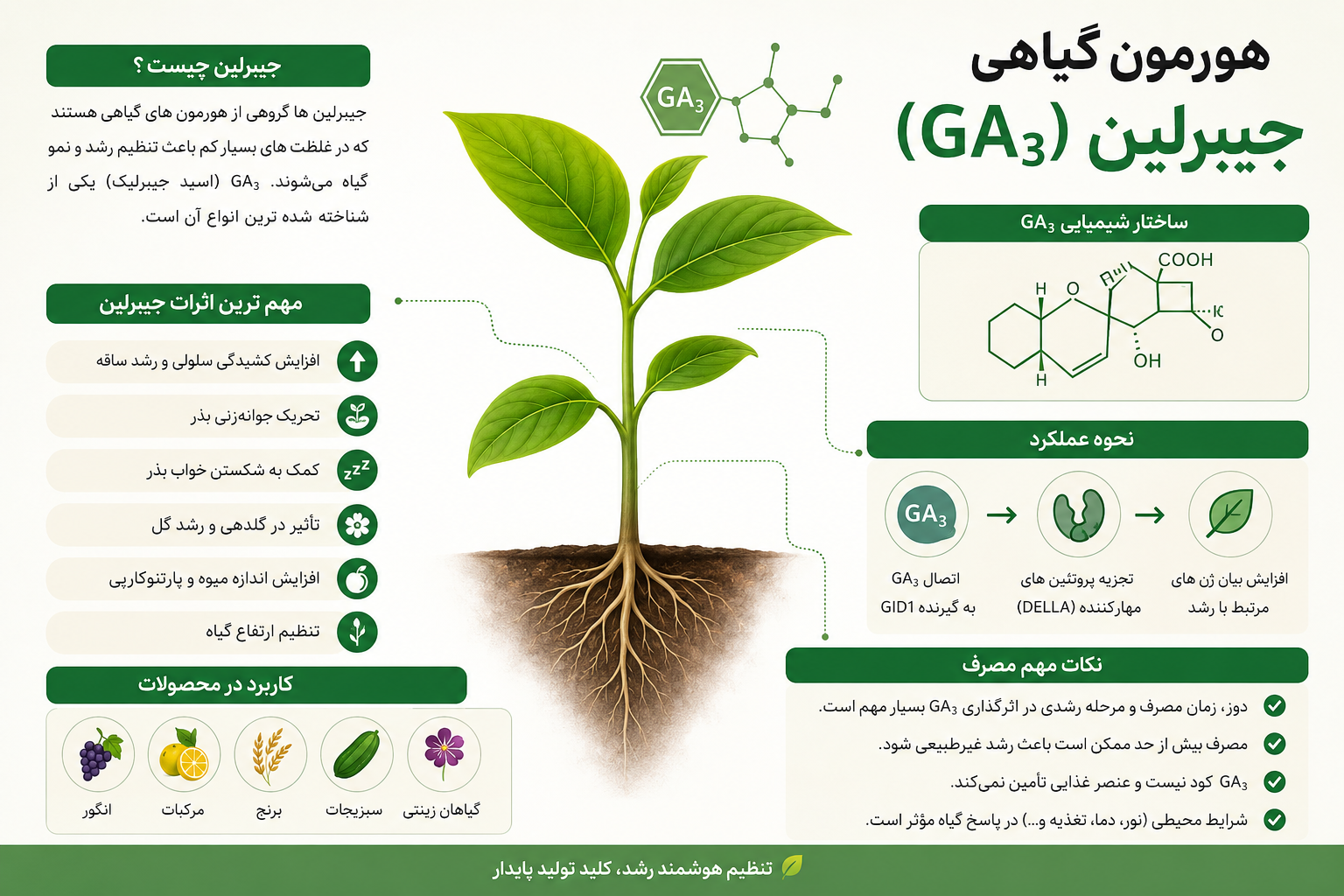 هورمون جیبرلین چیست؟ کاربرد، فواید و نحوه مصرف GA3 در کشاورزی