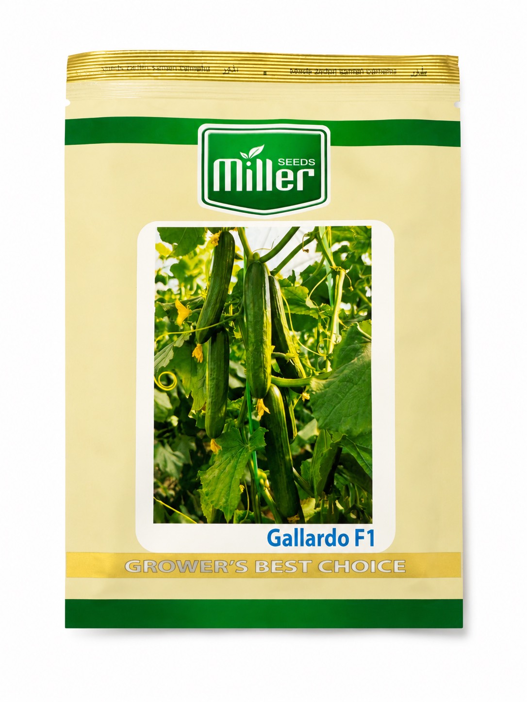 بذر خیار گلخانه ای گالاردو میلر 500 عددی